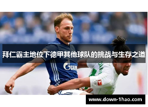 拜仁霸主地位下德甲其他球队的挑战与生存之道