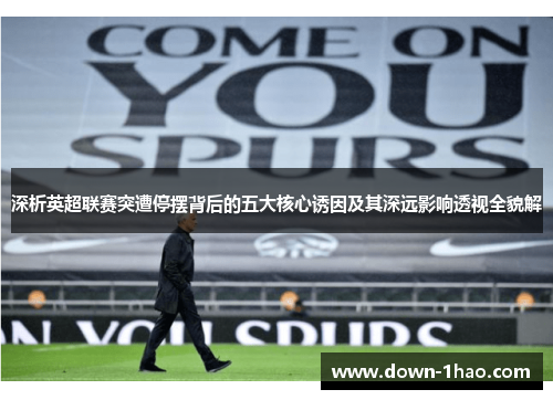 深析英超联赛突遭停摆背后的五大核心诱因及其深远影响透视全貌解