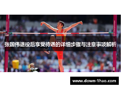 张国伟退役后享受待遇的详细步骤与注意事项解析