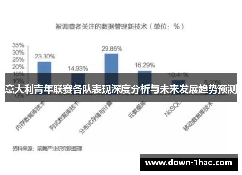意大利青年联赛各队表现深度分析与未来发展趋势预测