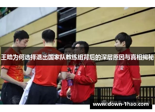 王皓为何选择退出国家队教练组背后的深层原因与真相揭秘