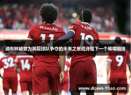 迪布林被誉为英超球队争夺的未来之星或许是下一个璀璨明珠 迪布林被誉为英超球队争夺的未来之星或许是下一个璀璨明珠